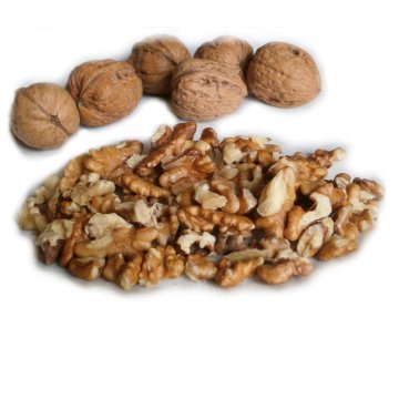 NOCI SGUSCIATE TIPO B EST EU KG 10